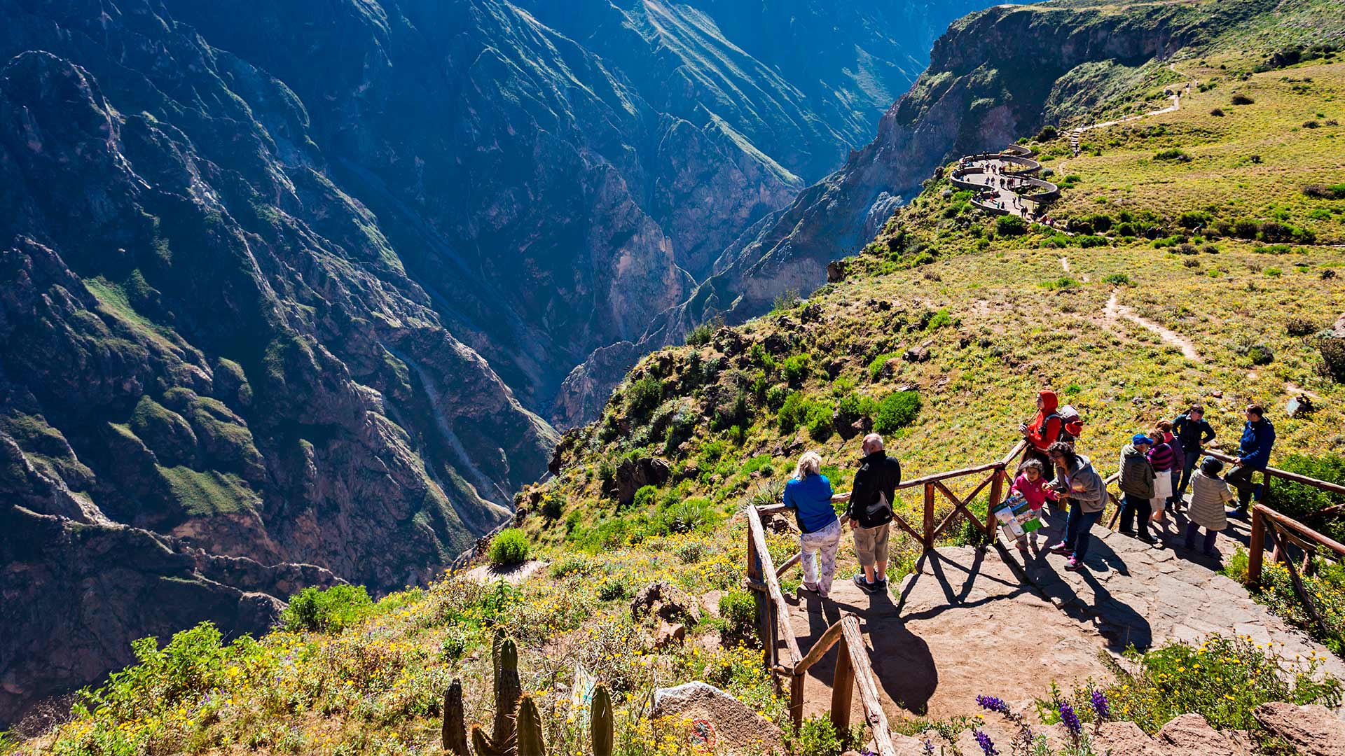 Arequipa y Cañón del Colca